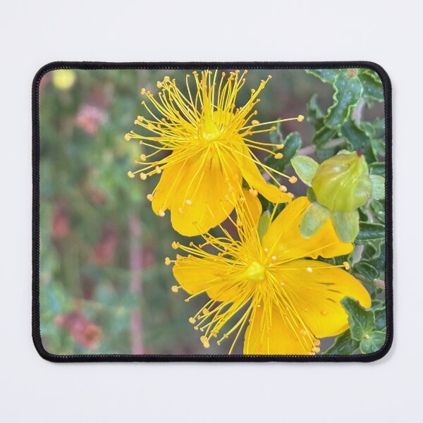Item preview, Majorca St. John's Wort designed and sold by PariSeine.