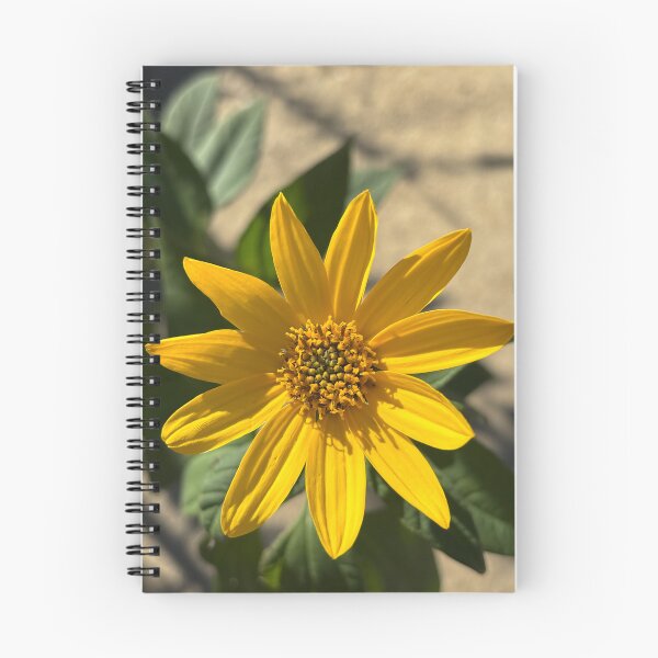 Item preview, Prairie sunflower designed and sold by PariSeine.