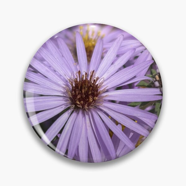 Item preview, Bushy asters designed and sold by PariSeine.