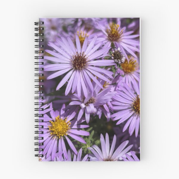 Item preview, Bushy asters designed and sold by PariSeine.