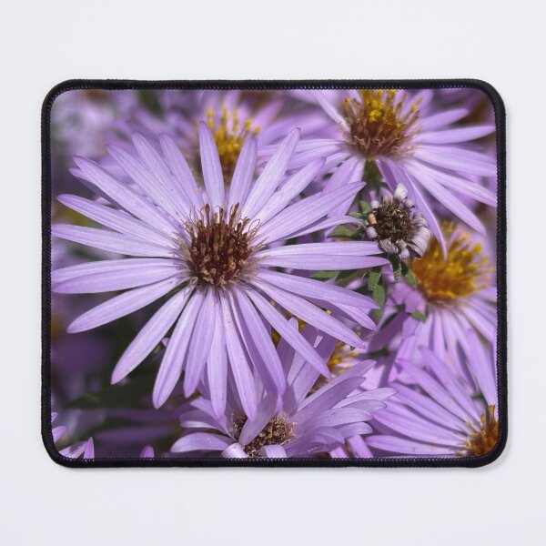 Item preview, Bushy asters designed and sold by PariSeine.