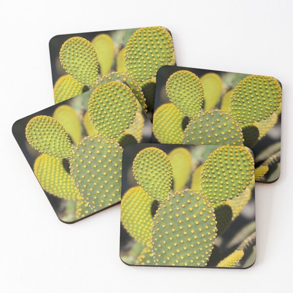 Item preview, Bunny ears cactus designed and sold by PariSeine.