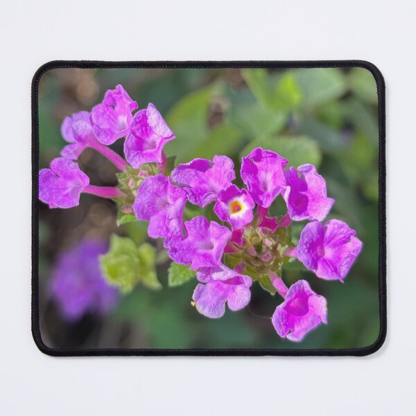 Item preview, Weeping lantana designed and sold by PariSeine.