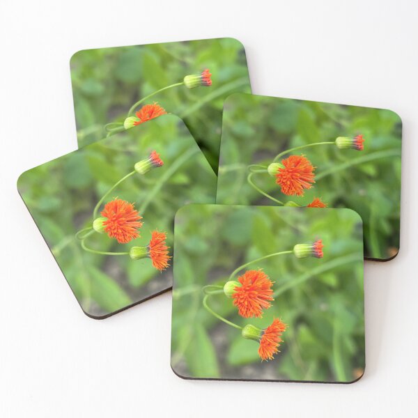 Item preview, Tassel flower designed and sold by PariSeine.