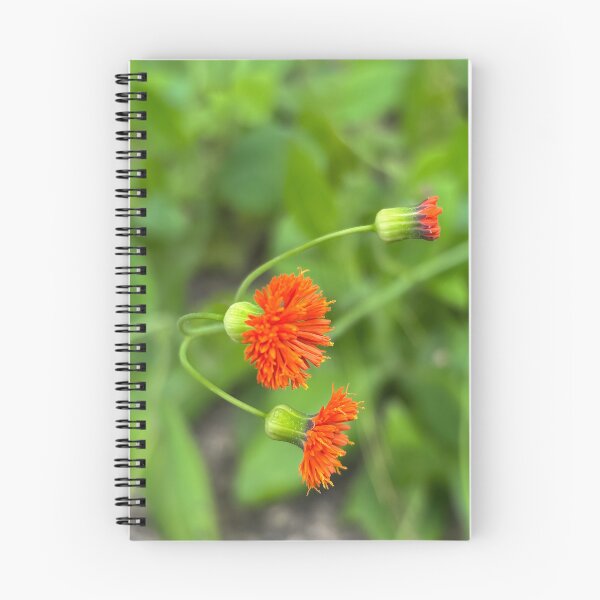 Item preview, Tassel flower designed and sold by PariSeine.