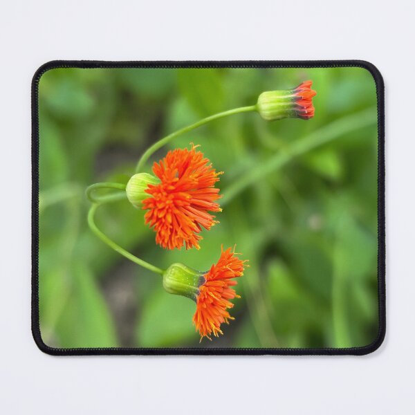 Item preview, Tassel flower designed and sold by PariSeine.