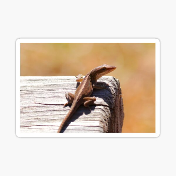 Item preview, Anole  designed and sold by Parks and X.
