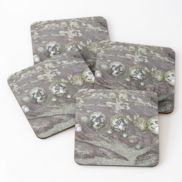 Item preview, Limpets And Barnacles On A Rock - Wembury, Devon UK designed and sold by lezvee.