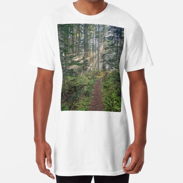 Item preview, Burst of sunlight over a trail designed and sold by Nature at its finest.