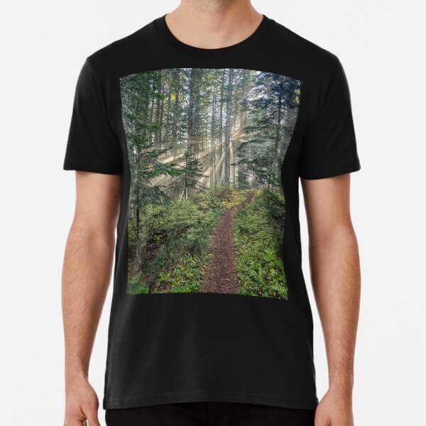 Item preview, Burst of sunlight over a trail designed and sold by Nature at its finest.