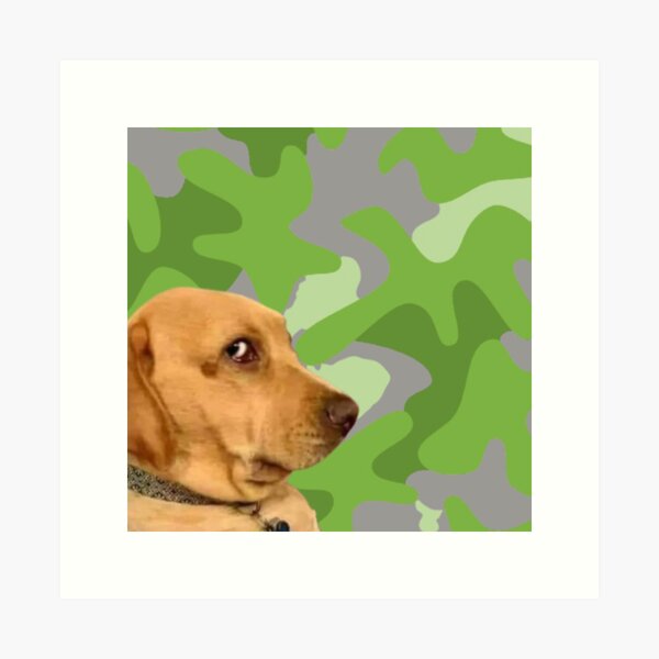 Item preview, chien camouflage, chien, camouflage, regard de chien designed and sold by Wawan35200.
