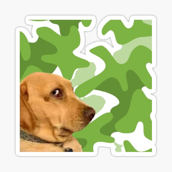 Artikel-Vorschau von chien camouflage, chien, camouflage, regard de chien, designt und verkauft von Wawan35200.
