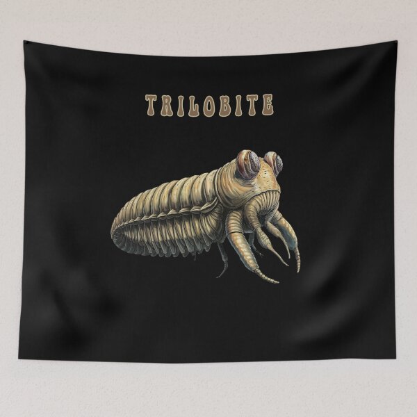 Item preview,  Trilobite  designed and sold by mirciashop.