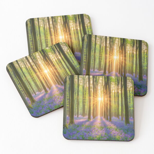 Item preview, landscape, beautiful view, nature, health, amazing, photo, world, travel, forest, field, flowers, grass, tree, leaves, sun light, sunset designed and sold by NAVAL00.