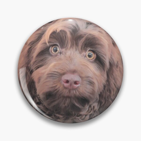 Item preview, Cockapoo I love you designed and sold by tmARTs1.