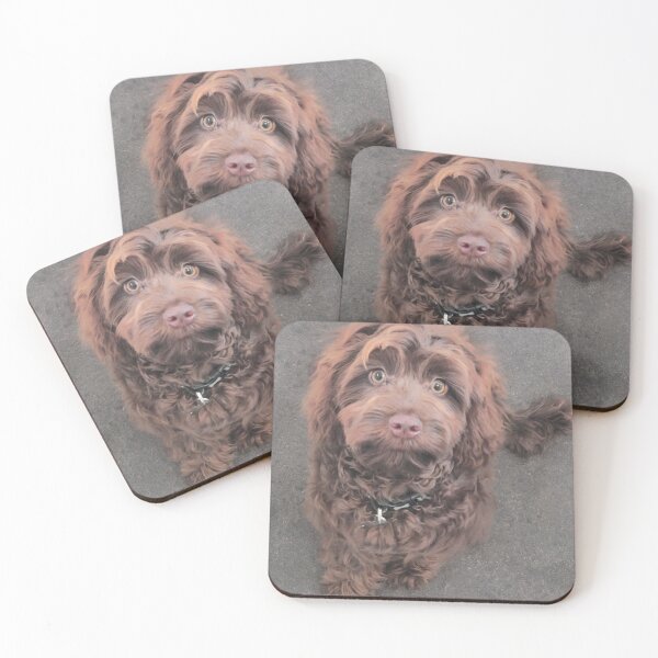 Item preview, Cockapoo I love you designed and sold by tmARTs1.