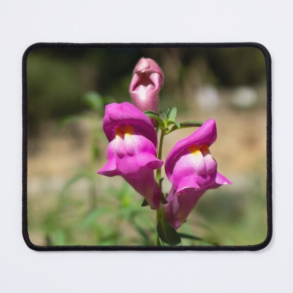 Item preview, Snapdragon designed and sold by PariSeine.