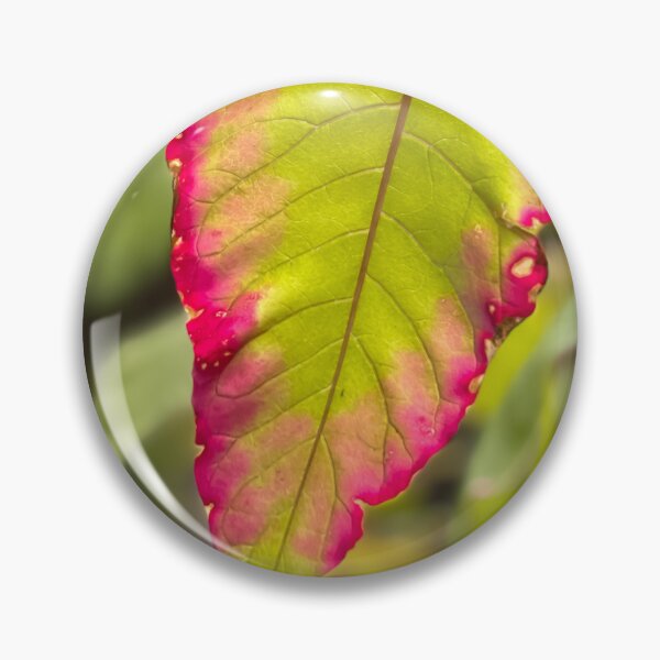 Item preview, Pokeberry designed and sold by PariSeine.