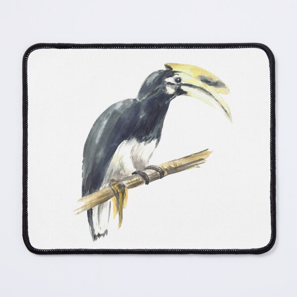 Item preview, Hornbill bird, Buceros bicornis. Rhinoceros bird perched on branch. Tropical watercolor painting designed and sold by BartolArt.