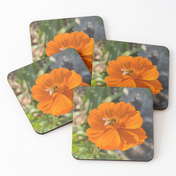 Item preview, A carder bee on a sulfur cosmos designed and sold by PariSeine.