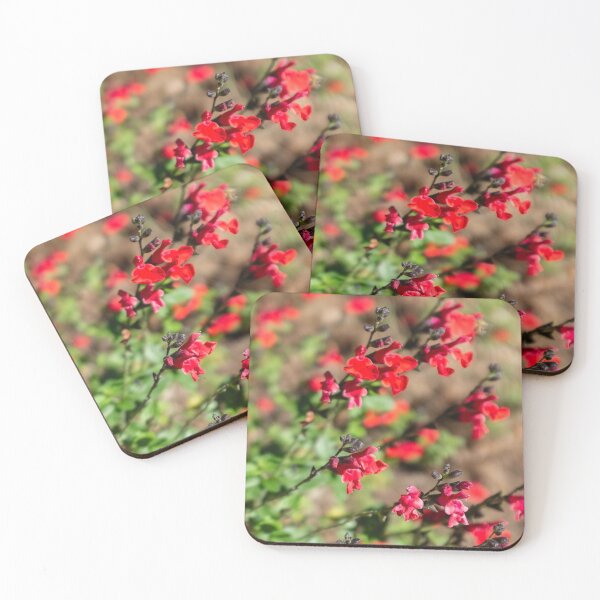Item preview, Graham's sage designed and sold by PariSeine.