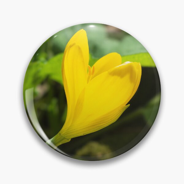 Item preview, Autumn daffodil designed and sold by PariSeine.