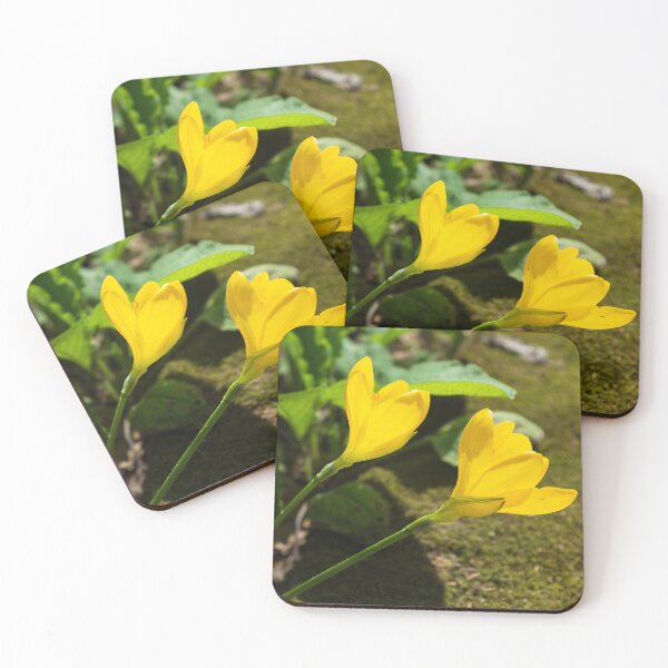 Item preview, Autumn daffodil designed and sold by PariSeine.