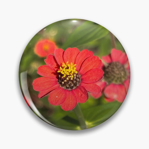 Item preview, Peruvian Zinnia designed and sold by PariSeine.