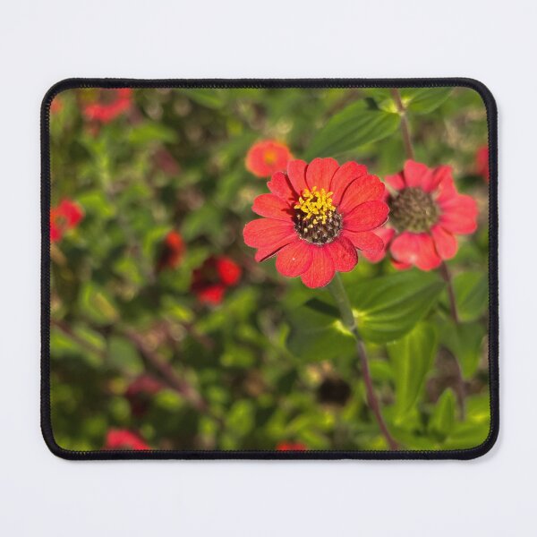 Item preview, Peruvian Zinnia designed and sold by PariSeine.
