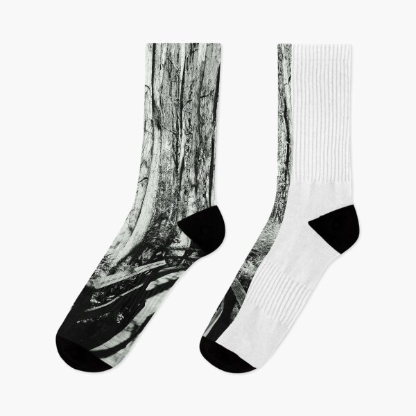 Item preview, Swamp Trail Black And White designed and sold by MercerImages.