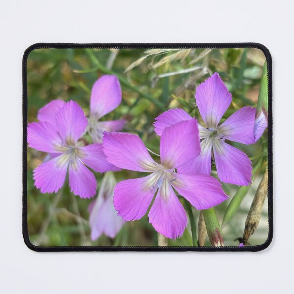 Item preview, Rock carnation designed and sold by PariSeine.