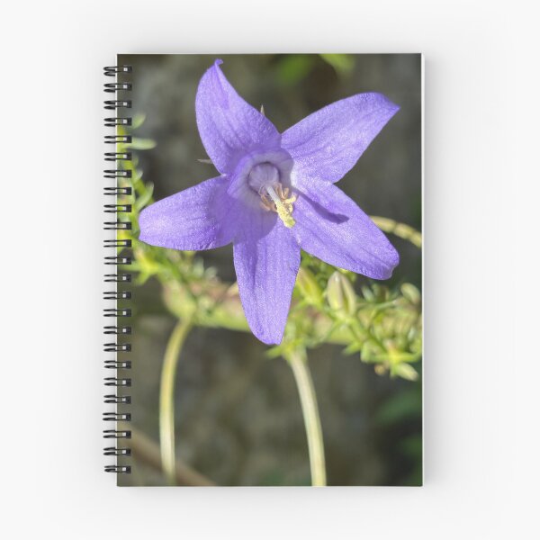 Item preview, Chimney bellflower designed and sold by PariSeine.