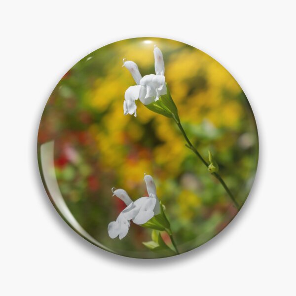 Item preview, Graham's sage designed and sold by PariSeine.