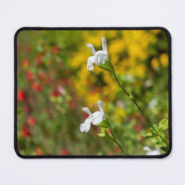 Item preview, Graham's sage designed and sold by PariSeine.