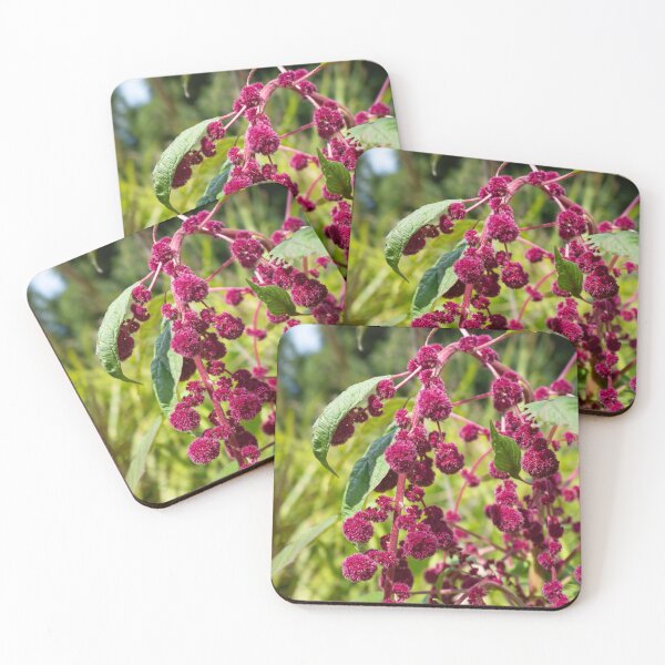Item preview, Foxtail amaranth designed and sold by PariSeine.