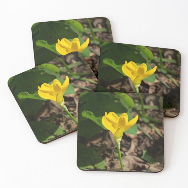 Item preview, An autumn daffodil designed and sold by PariSeine.