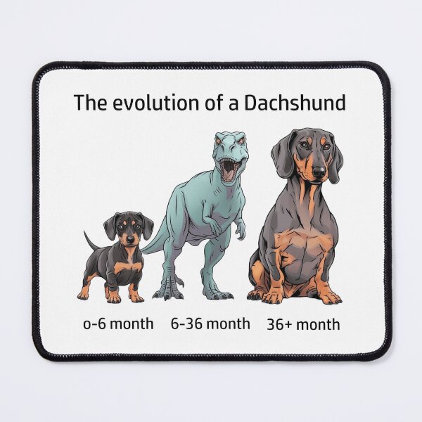 Item preview, The Evolution of a Dachshund designed and sold by Ranout.
