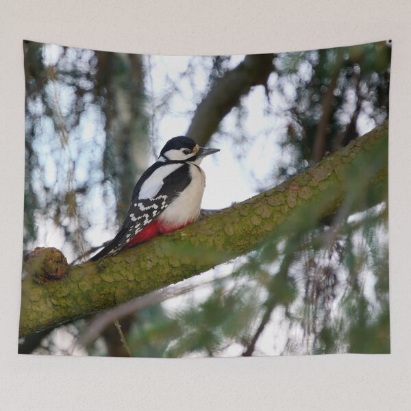 Item preview, Just wondering. Great spotted woodpecker designed and sold by Jouko Lehto Photography.