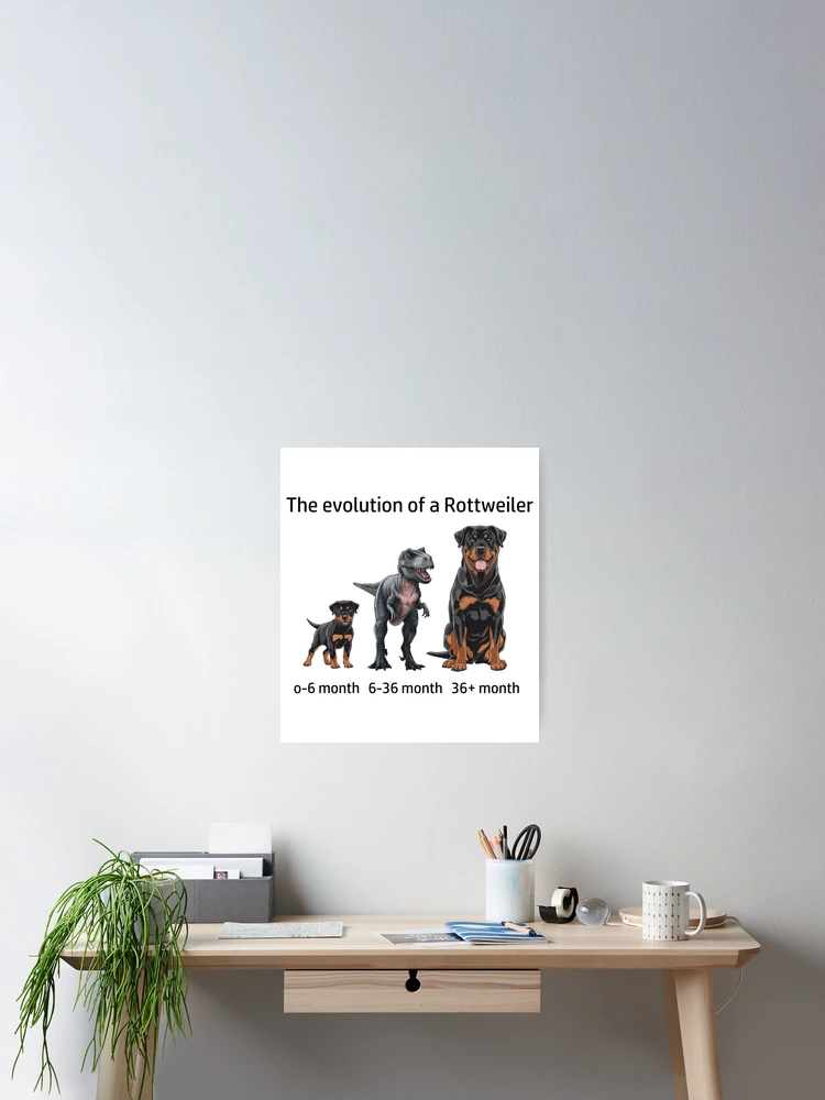 Thumbnail 2 von 3, Poster, Die Evolution eines Rottweilers designt und verkauft von Ranout.