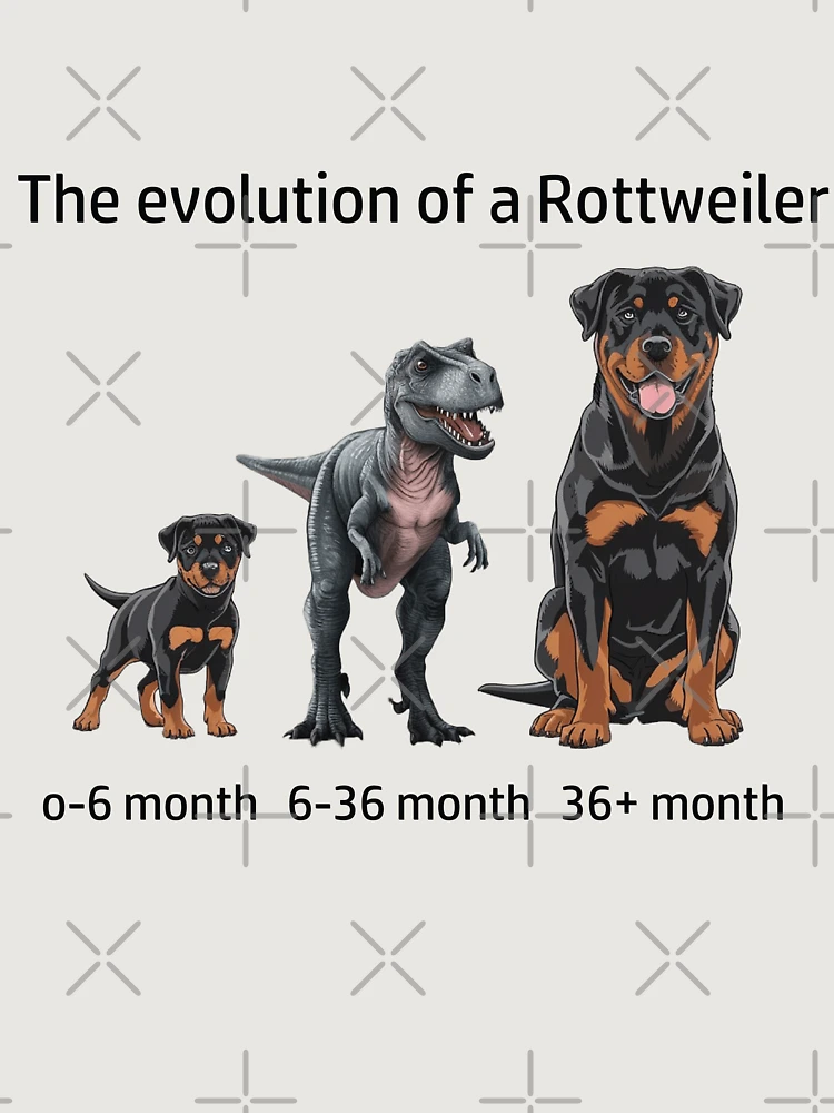 Thumbnail 6 von 6, Premium Oversized Pullover, Die Evolution eines Rottweilers designt und verkauft von Ranout.