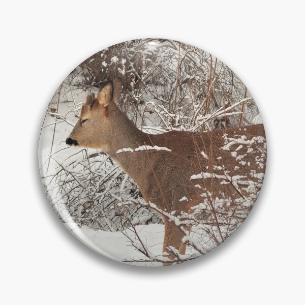 Item preview, Bushtime. Roe deer designed and sold by Jouko Lehto Photography.