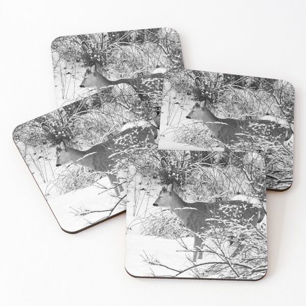 Item preview, Bushtime. Roe deer bw designed and sold by Jouko Lehto Photography.