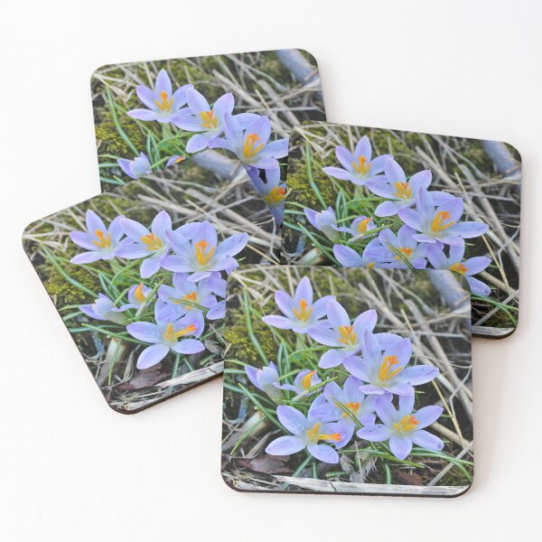 Item preview, Crocuses  designed and sold by McFleur's Lens.