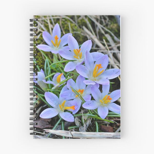 Item preview, Crocuses  designed and sold by McFleur's Lens.