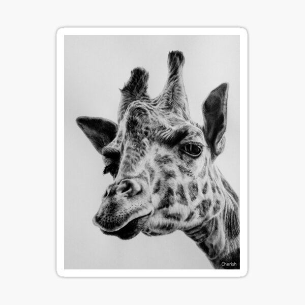 Giraffe Sticker