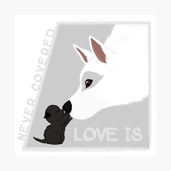 Love is... Photographic Print