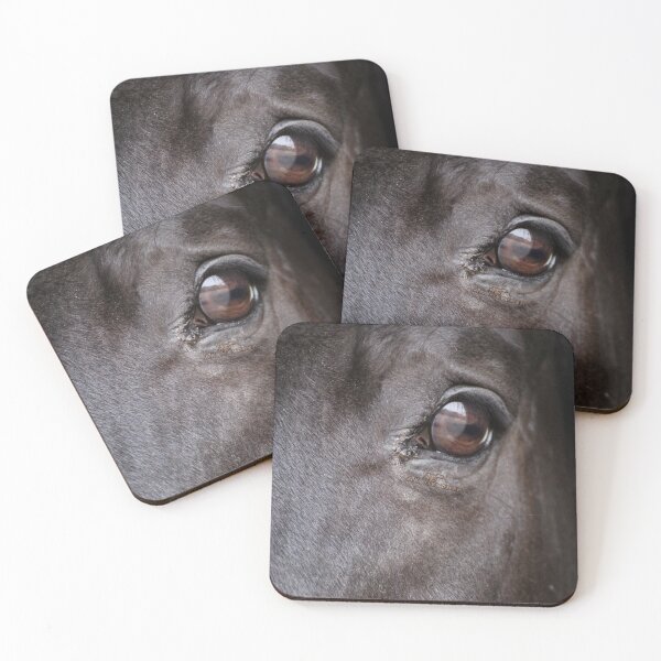 Item preview, The Horse's Eye, Photography designed and sold by AK-Hevonen.