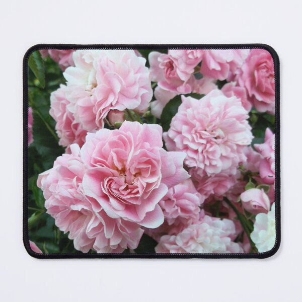 Item preview, Pink Roses 6: frilly flowers. designed and sold by Dustwood-Media.