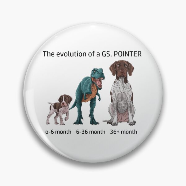 Item preview, The Evolution of a German Shorthaired Pointer designed and sold by Ranout.