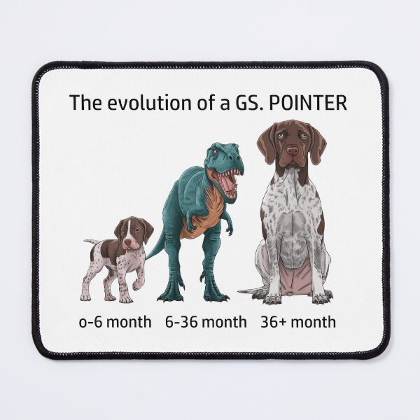 Item preview, The Evolution of a German Shorthaired Pointer designed and sold by Ranout.